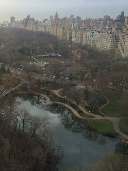 Sofia Wellman overlooks Central Park, from Park Lane Hotel, in NYC, while interviewing people for the film “What’s Love Got To Do With It” Film by Sofia Wellman